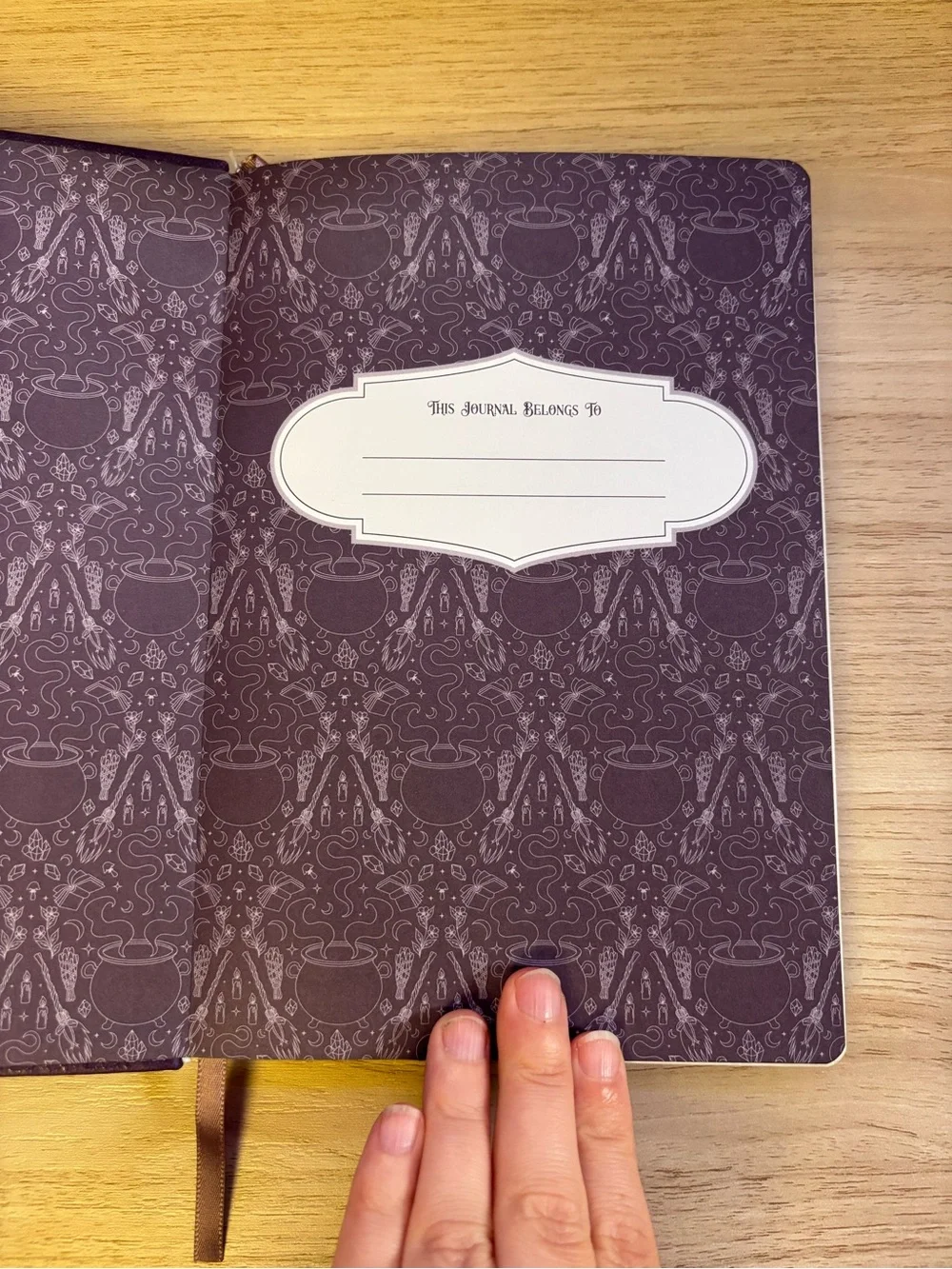 Fairyloot Exclusive Reading Journal Bookish Planner Purple Holographic Foil
